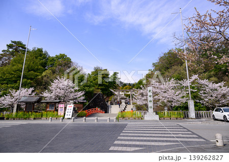 春爛漫武田神社 春爛漫武田神社 139262827