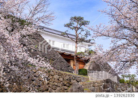 舞鶴城公園の甲府城跡の鉄門と桜 139262830