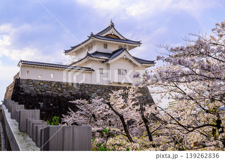 舞鶴城公園の甲府城跡の稲荷櫓と桜 舞鶴城公園の甲府城跡の稲荷櫓と桜 139262836