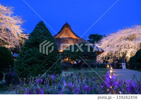御殿場秩父宮記念公園の日本家屋と夜桜 139262856