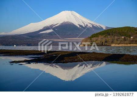山中湖平野浜から見る富士山と逆さ富士 山中湖平野浜から見る富士山と逆さ富士 139262877