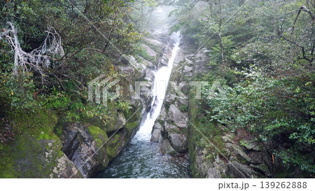 白谷雲水峡 屋久島 白谷雲水峡 屋久島 139262888