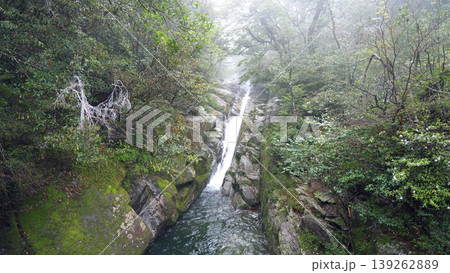 白谷雲水峡 屋久島 白谷雲水峡 屋久島 139262889