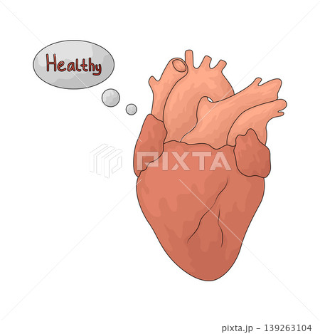 Illustration of Healthy Heart Illustration of Healthy Heart 139263104
