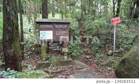 屋久島 モッチョム岳 登山口 屋久島 モッチョム岳 登山口 139263511
