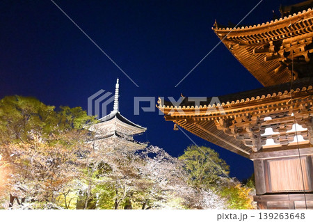 夜の桜咲く京都市東寺 国宝金堂と五重塔 139263648