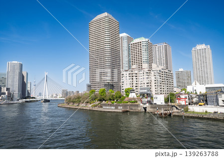 佃大橋から見る中央区立石川島公園とその景観 東京都中央区 139263788