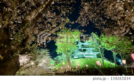 高田城址公園の夜桜 【新潟県 上越市】 高田城址公園の夜桜 【新潟県 上越市】 139263834