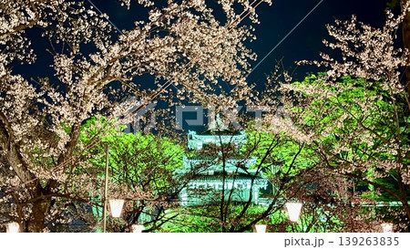高田城址公園の夜桜　【新潟県　上越市】 139263835