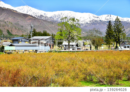 大糸線 飯森駅付近より白馬三山方面を望む(長野県白馬村)【2026.4】 大糸線 飯森駅付近より白馬三山方面を望む(長野県白馬村)【2026.4】 139264026