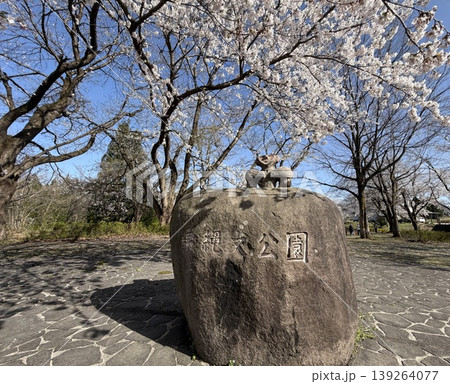 泉縄文公園 【新潟県 上越市 中郷区】 泉縄文公園 【新潟県 上越市 中郷区】 139264077