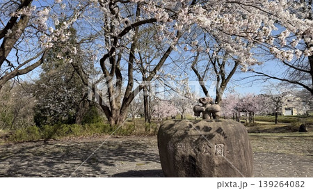 泉縄文公園 【新潟県 上越市 中郷区】 泉縄文公園 【新潟県 上越市 中郷区】 139264082