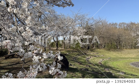 泉縄文公園　【新潟県 上越市 中郷区】 139264083
