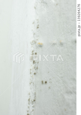 Black mold and mildew growing on white wall corner. Black mold and mildew growing on white wall corner. 139264276