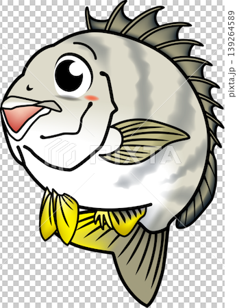Cute fish illustration: "Yellowfin seabream (Kichinu)" - Vector format - Single image on a white background Cute fish illustration: "Yellowfin seabream (Kichinu)" - Vector format - Single image on a white background 139264589