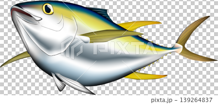 Fish illustration: Yellowfin tuna, vector format, single image on a white background. Fish illustration: Yellowfin tuna, vector format, single image on a white background. 139264837
