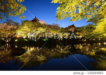 春の夕暮れ 桜咲く京都市東寺の瓢箪池 139264865