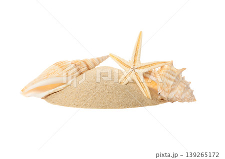 Seashells and sand in a summer scene, PNG Seashells and sand in a summer scene, PNG 139265172