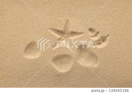 Footprints and shells are found in the sand at the beach Footprints and shells are found in the sand at the beach 139265198