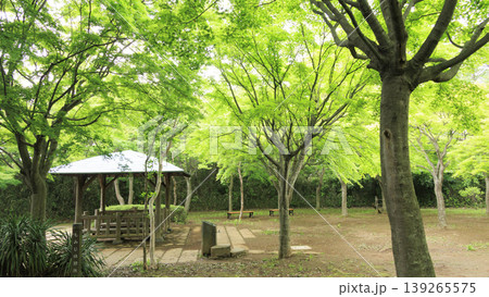 田圃と原風景 田圃と原風景 139265575