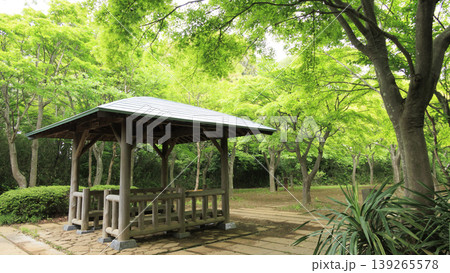 田圃と原風景 田圃と原風景 139265578