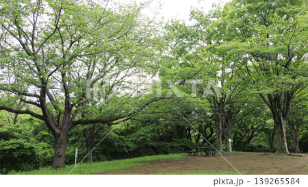 田圃と原風景 田圃と原風景 139265584