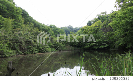 田圃と原風景 田圃と原風景 139265585
