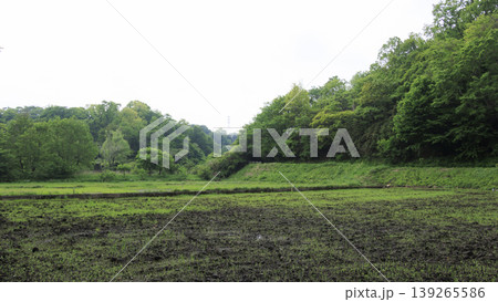 田圃と原風景 田圃と原風景 139265586
