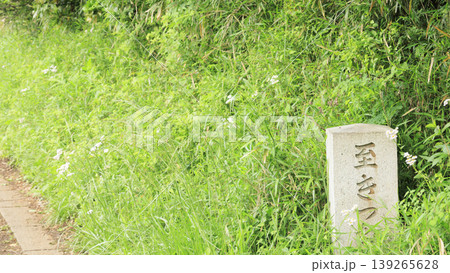 田圃と原風景 139265628