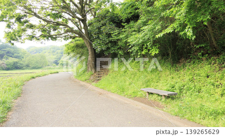 田圃と原風景 139265629