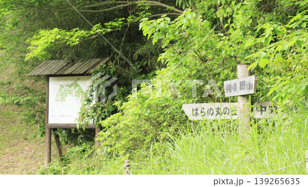 田圃と原風景 139265635