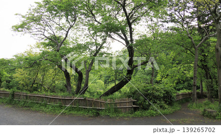 田圃と原風景 田圃と原風景 139265702