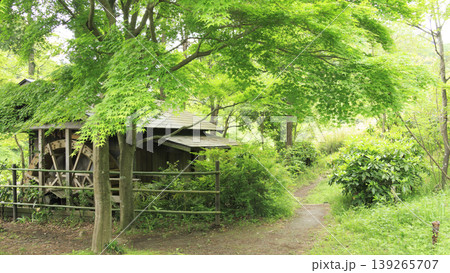 田圃と原風景 田圃と原風景 139265707