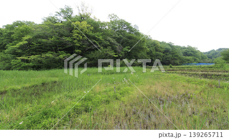 田圃と原風景 田圃と原風景 139265711