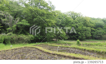田圃と原風景 田圃と原風景 139265713