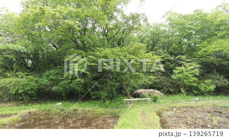 田圃と原風景 田圃と原風景 139265719