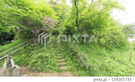 田圃と原風景 田圃と原風景 139265733