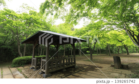 田圃と原風景 田圃と原風景 139265742