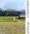 夏の白川郷の合掌造りと茅葺 139265860