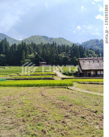 夏の白川郷の合掌造りと茅葺 夏の白川郷の合掌造りと茅葺 139265860