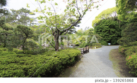 新緑に包まれた葉山しおさい公園 139265868