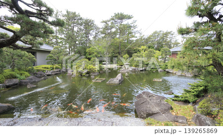 新緑に包まれた葉山しおさい公園 新緑に包まれた葉山しおさい公園 139265869