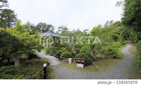 新緑に包まれた葉山しおさい公園 新緑に包まれた葉山しおさい公園 139265870
