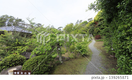 新緑に包まれた葉山しおさい公園 新緑に包まれた葉山しおさい公園 139265871