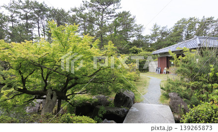 新緑に包まれた葉山しおさい公園 139265873