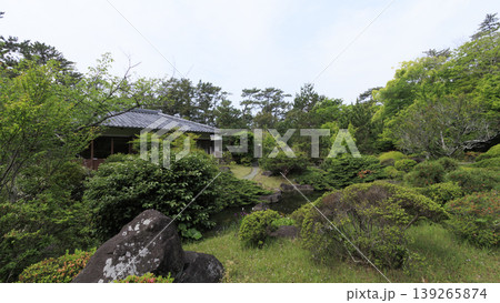 新緑に包まれた葉山しおさい公園 新緑に包まれた葉山しおさい公園 139265874