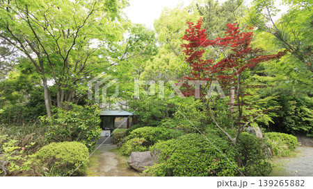 新緑に包まれた葉山しおさい公園 139265882