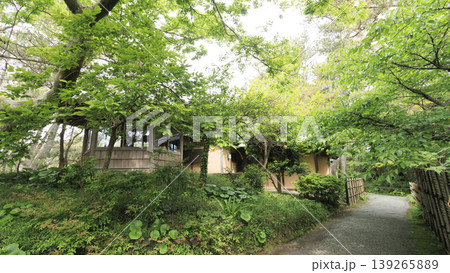 新緑に包まれた葉山しおさい公園 新緑に包まれた葉山しおさい公園 139265889