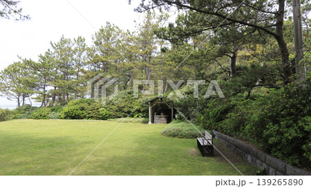 新緑に包まれた葉山しおさい公園 新緑に包まれた葉山しおさい公園 139265890