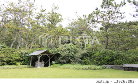 新緑に包まれた葉山しおさい公園 新緑に包まれた葉山しおさい公園 139265892
